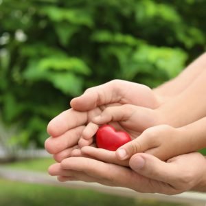 Family holding small red heart in hands together outdoors, closeup Family holding small red heart in hands together outdoors, closeup